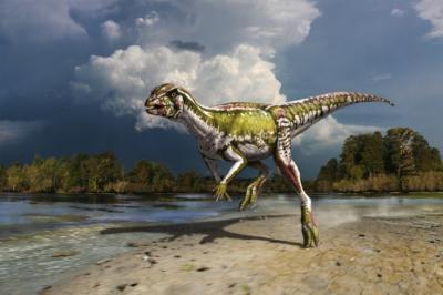 Life Reconstruction of <i>Albertadromeus syntarsus</I>