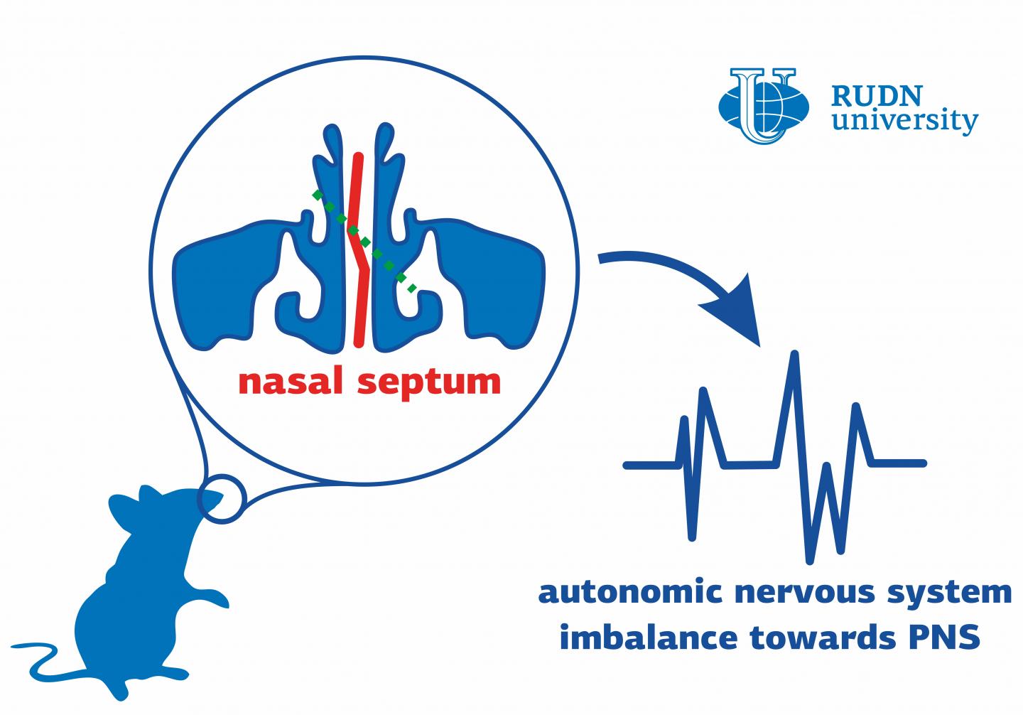 Nasal Septum Surgery Can Affect Behaviour, Say Medics from RUDN University
