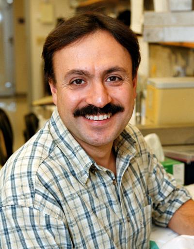 Peter Sicinski, PhD