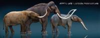 Elephant Ancestors