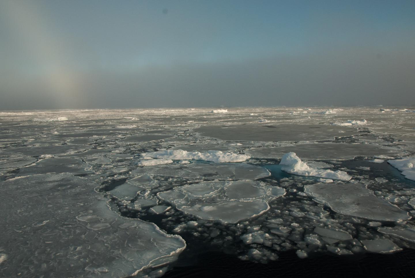 Arctic Sea Ice Remnants