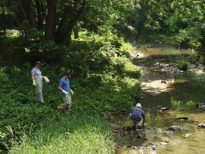 Gwynns Run Tributary in Baltimore, Md.