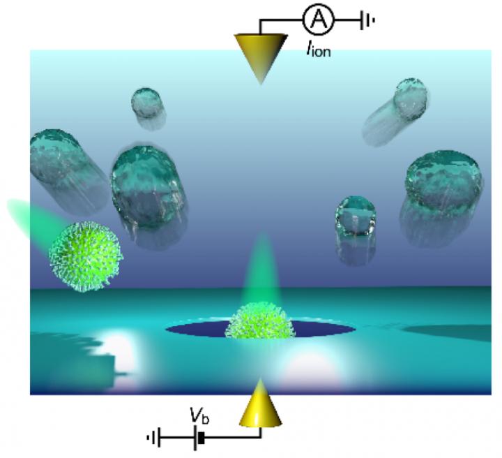Figure Detection of a Single Influenza Virion using a Solid-State Nanopre