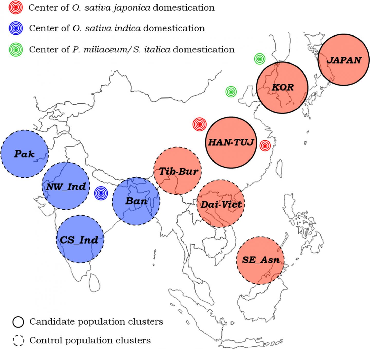 Asian population clusters and their relative position with respect to known centers of rice/millet domestication