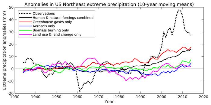 Anomalies in U.S. Northeast extreme precipitation