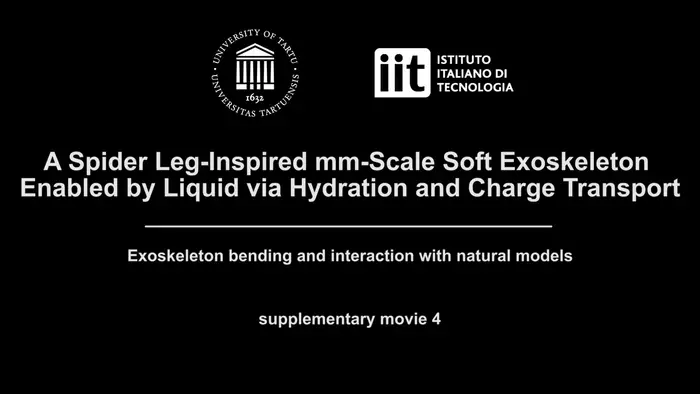 A spiders legs inspired mm-scale soft exosceleton enabled by liquid via hydration and charge transport