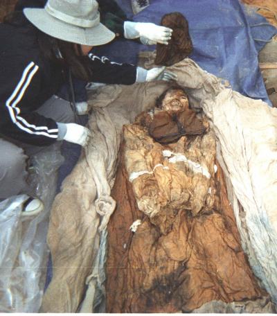 Korean Mummies May Provide Clues to Combat Hepatitis B