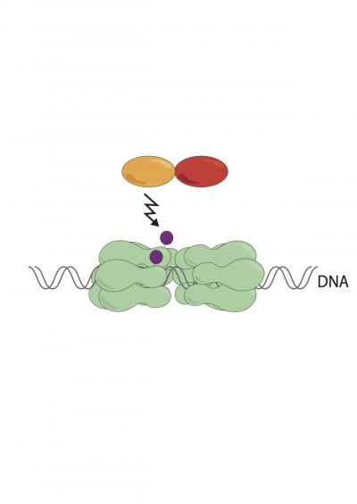 Simply Remove the Molecular Tags