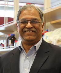 Vijay Gokhale, 	University of Arizona Health Sciences 
