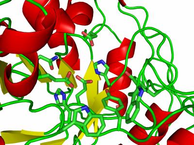 Griffith University Institute for Glycomics (1 of 2)