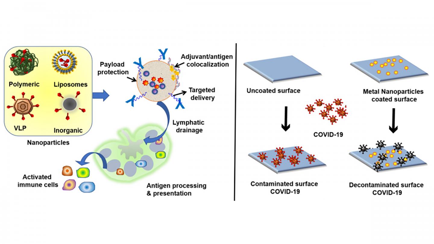 Biomaterials to strengthen vaccines and build surfaces