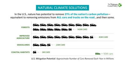 Natural Climate Solutions