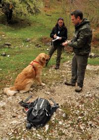 The Dog, the Handler and the Field Assistant