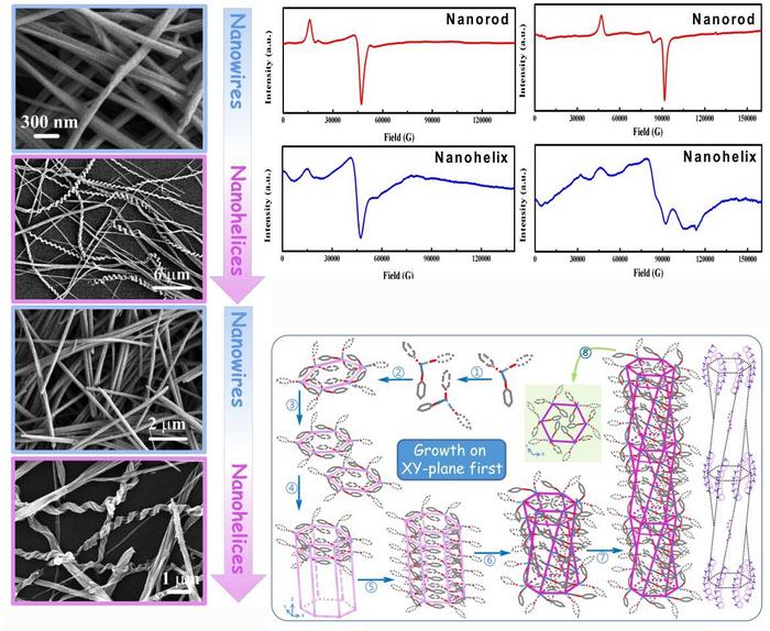 Scientists Reveal Twisting-Untwisting-Retwisting Cycle of Nanohelices