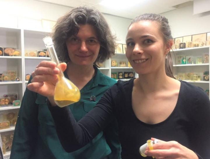 Associate Professor Sonja Klebe