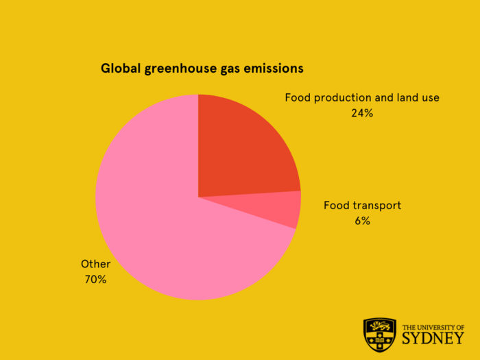 Food transport emissions