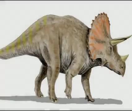 NSF & GWU Dinosaur Discovery