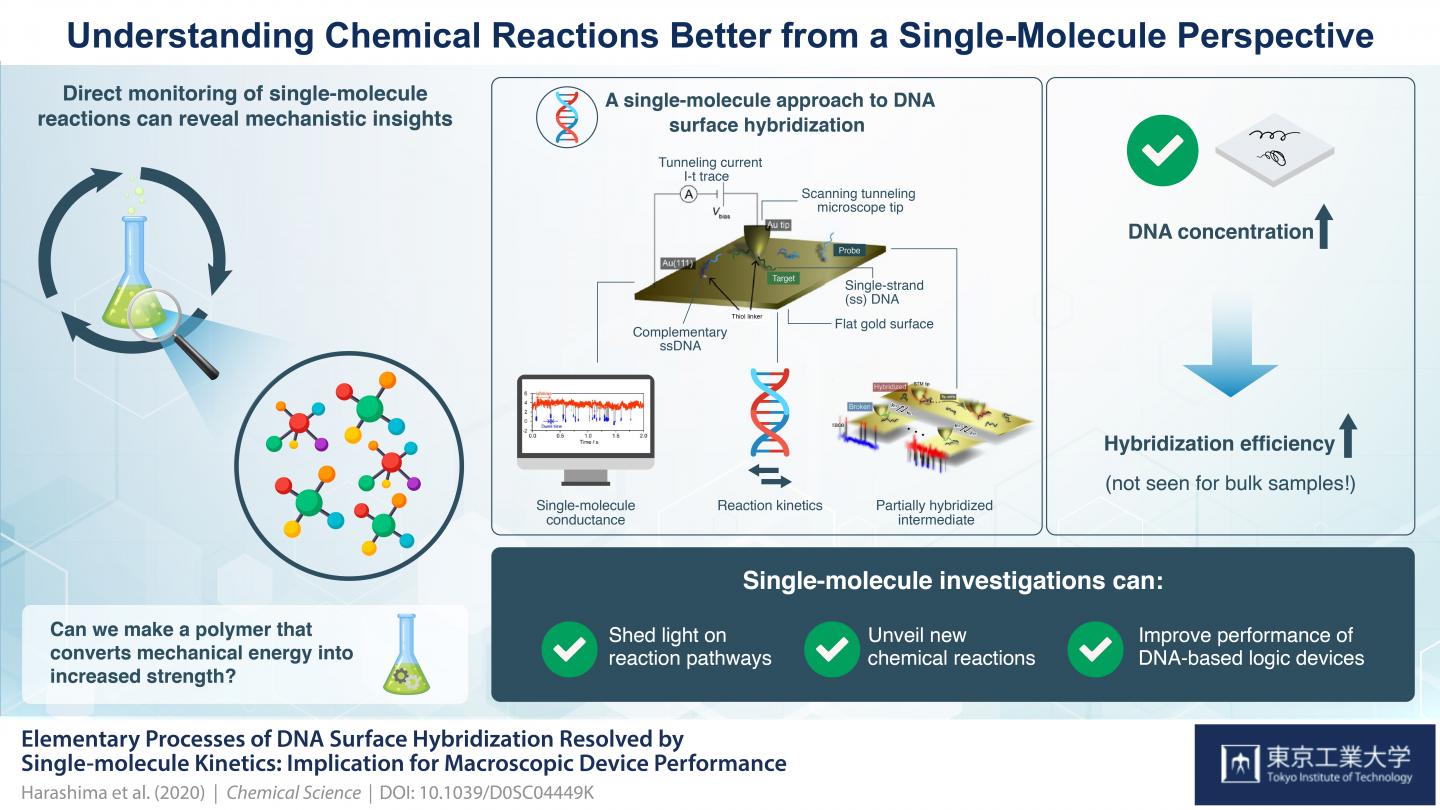 Figure 1 Schematic illustration of In-situ single-molecule detection of DNA hybridization