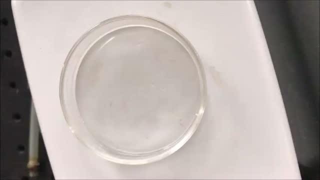 Liquid Plasma-produced Polymeric Nitrogen