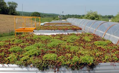 Green Roof Platforms