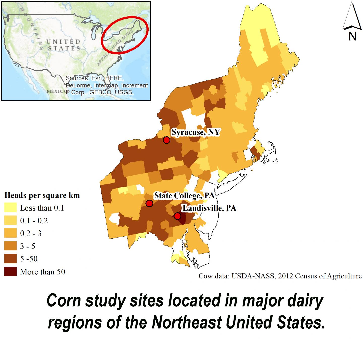 Corn Map [IMAGE] EurekAlert! Science News Releases