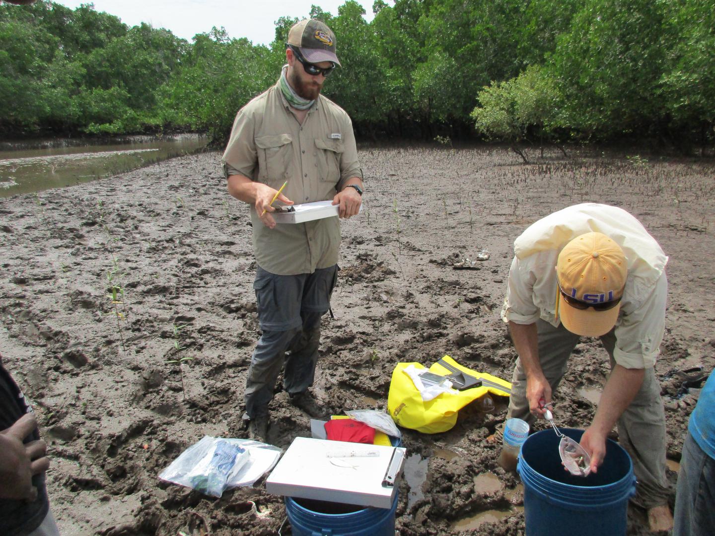 Coastal Researcher Matt Robertson