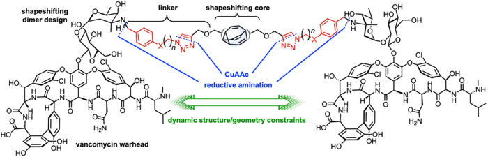 Chemical structure for shape-shifting antibiotic