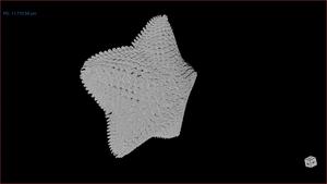 Micro-CT scan of sea star video