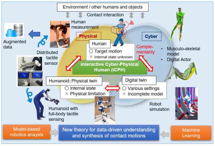 Interactive cyber-physical human (iCPH) platform for investigation of contact-rich whole-body human-like motions