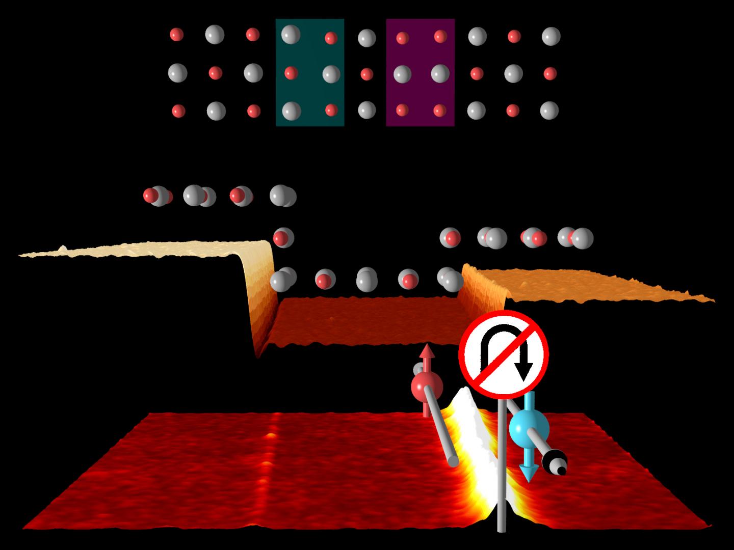 Step Edges on Topological Crystalline Insulators