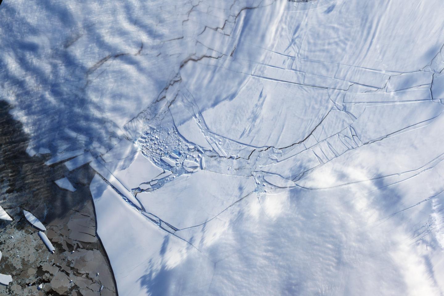 Wilkins Ice Shelf