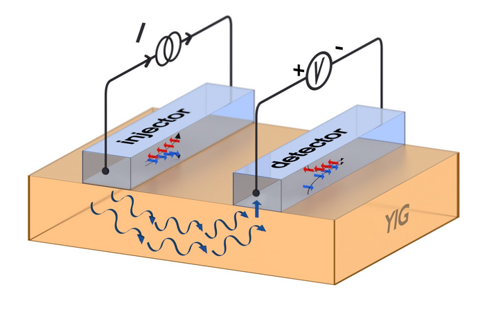 Magon transport in ultra-thin YIG