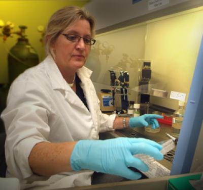 Dr. Patricia V. Schoenlein, Medical College of Georgia