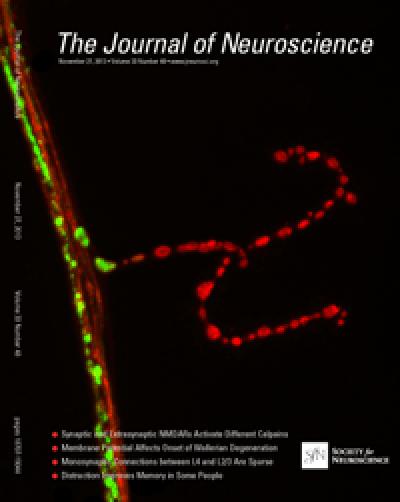 <i>Journal of Neuroscience</i>