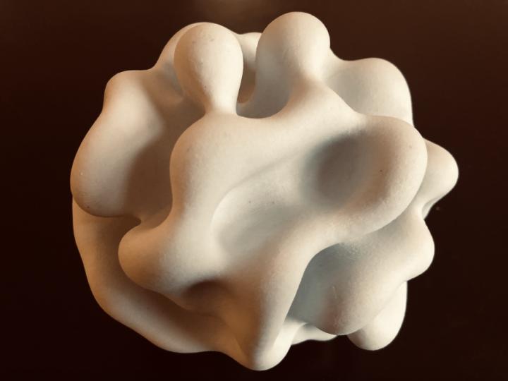 Organoid with Folding