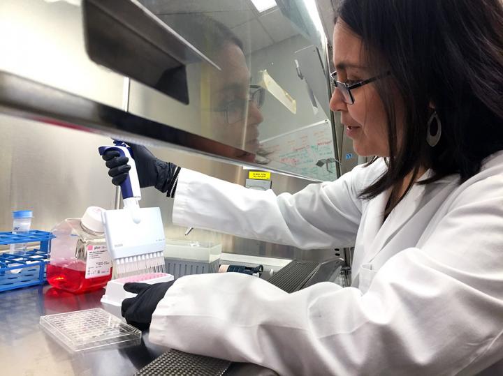 Heart Stem Cell Regenerative Medicine Research