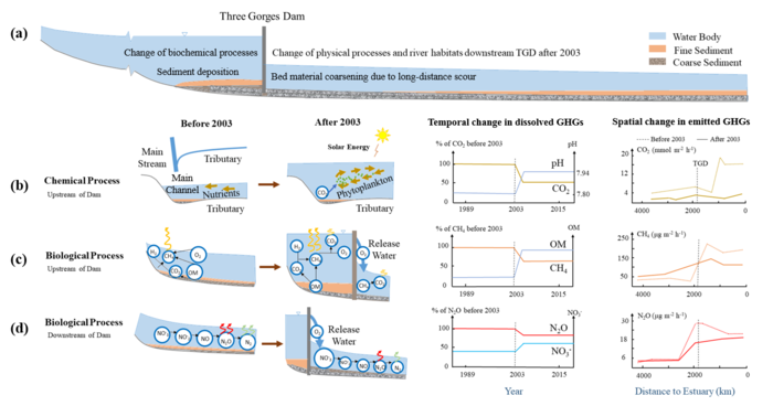 Whole system analysis concerning readjustment of physical and biogeochemical equilibria involved in regulation effects of the Three Gorges Dam on GHGs emissions from the Yangtze River, China