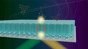 Schematic illustration of long-range interaction between metal nanoparticles and target molecules.