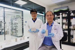 NTU Singapore scientists create renewable biocement entirely out of waste material - EurekAlert
