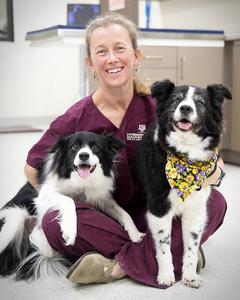 Texas A&M Vet Med Dog Frailty Instrument