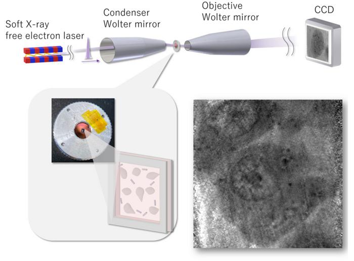 Setup of the soft X-ray microscope.