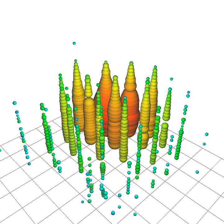 Visualization of a Glashow event