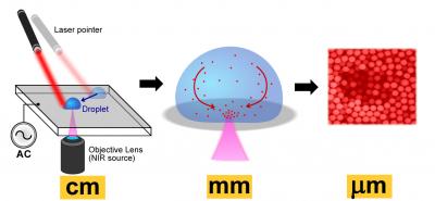 New Lab-on-a-Chip Technology