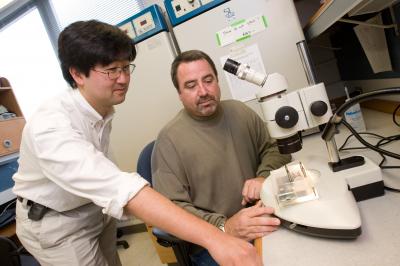 Shu Takayama and Gary Smith, University of Michigan