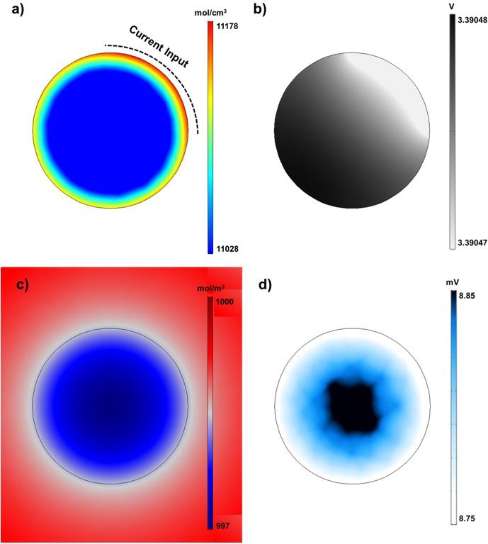 Electrochemical Phenomena