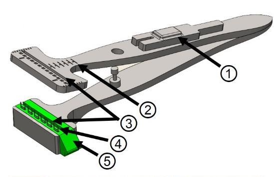 Second Place Winner, OculoStaple