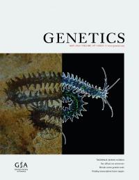 <i>Genetics</i> Cover