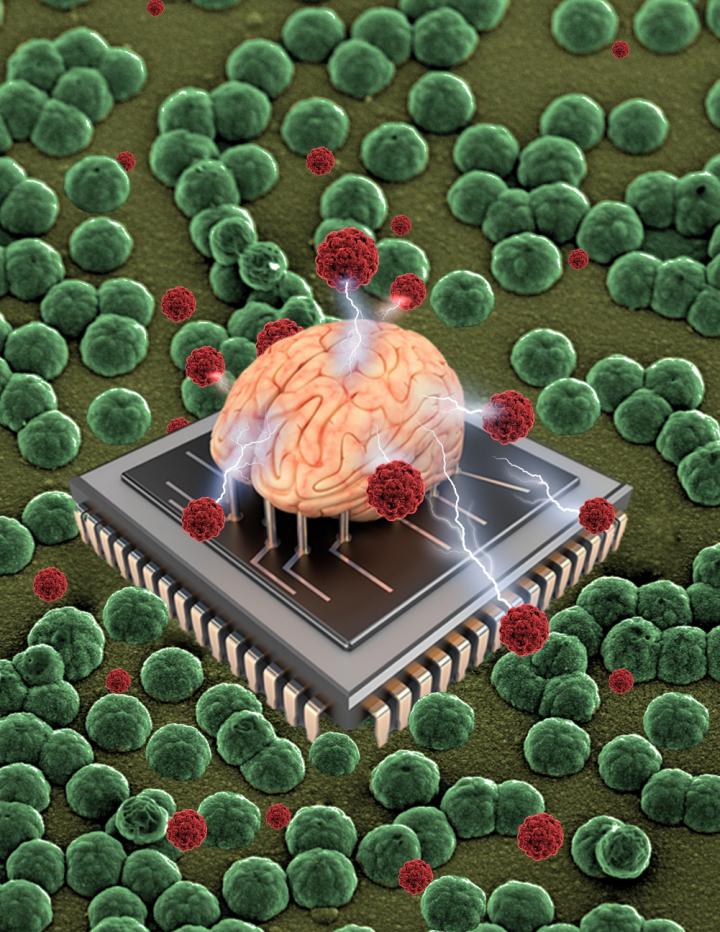 Abidian Neural Devices