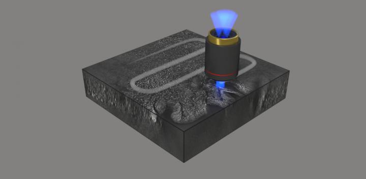 Schematic of the imaging of pathological tissue 3D structure by combining optical diffraction tomography and automated stitching.