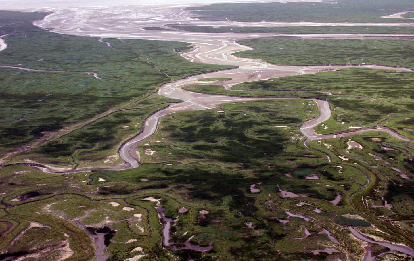 Aerial Photograph of Flooded Land in the Saeftinghe Region, Southwestern Netherlands